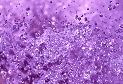 shutterstock_97939778